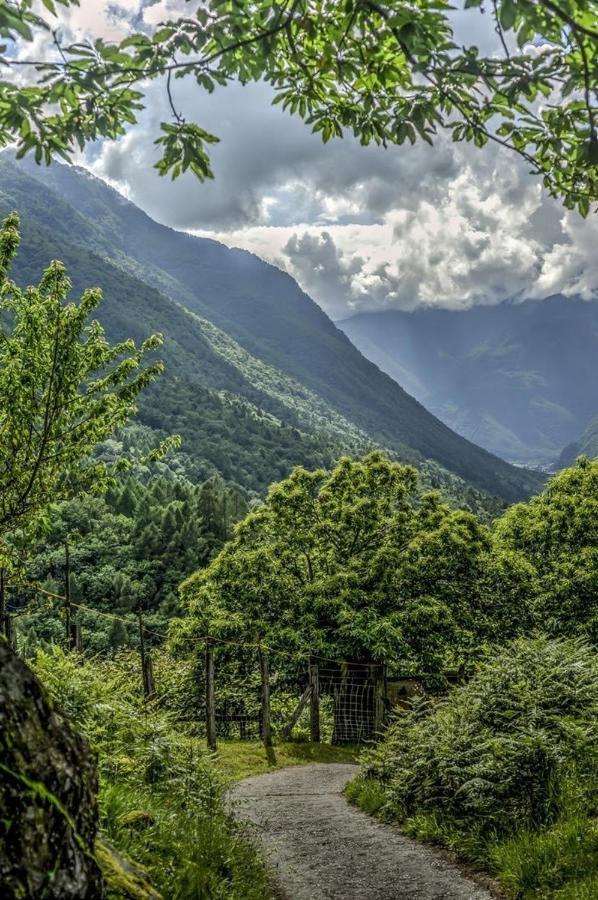 Grotto Zendralli Roveredo Εξωτερικό φωτογραφία