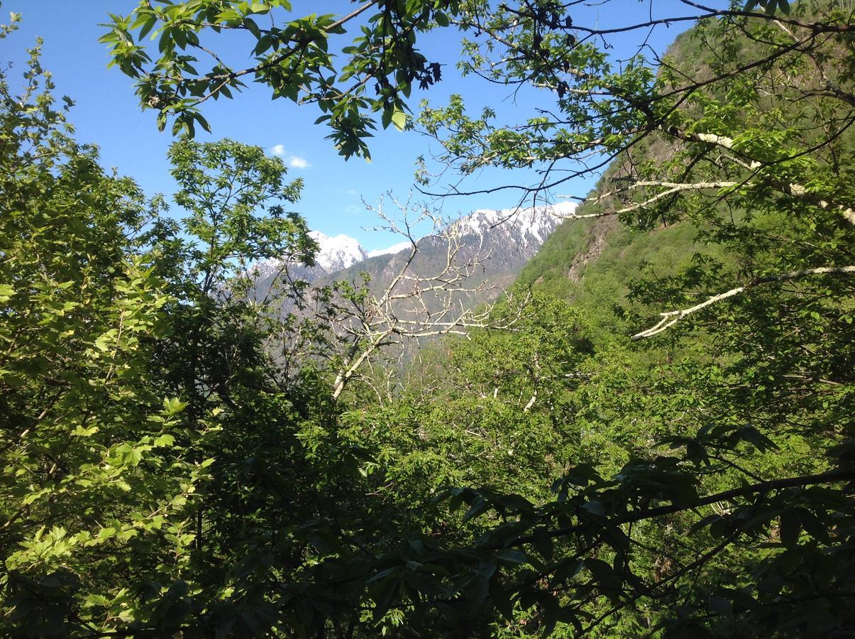Grotto Zendralli Roveredo Εξωτερικό φωτογραφία